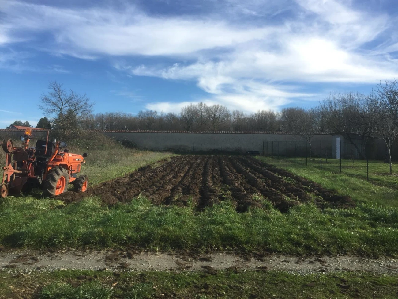 Entretien de votre jardin potager